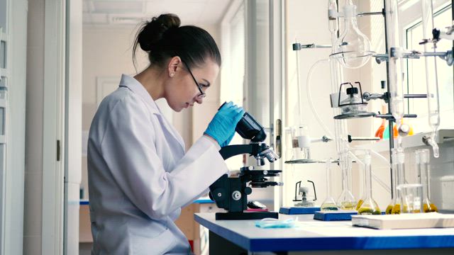 Lab